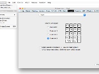 dataComet X Dialogs - dataComet Menu - Preferences - Keypad - Set IBM Keypad